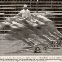 2002-08-14-Suedwest-Presse-