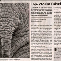 2004-05-04-Schwaebische-Zeitung-