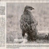 2004-05-28-Schwaebische-Zeitung-