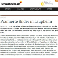 2004-05-28-schwaebische-de