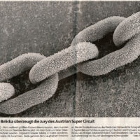 2005-07-30-Schwaebische-Zeitung-