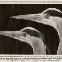 2006-05-11-Schwaebische-Zeitung