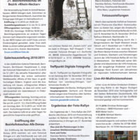 2010-12B-DVF-journal