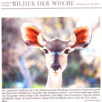 2020-07-22-Laupheimer-Anzeiger