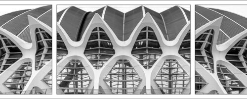 SERIJA-44_20250325_7B_0403_Bc